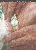 Piaget 1980 7.jpg